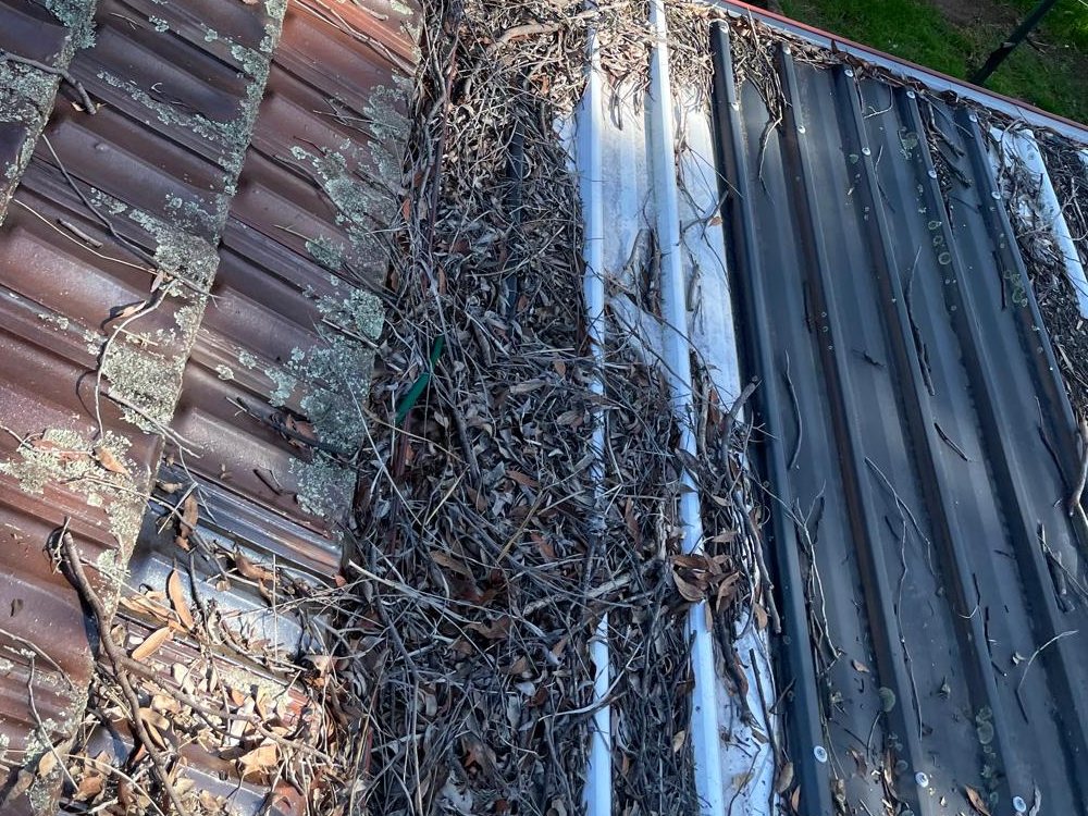 Gutter between a tiled roof and a metal roof, packed with leaves and sticks before cleaning and clear afterwards - before