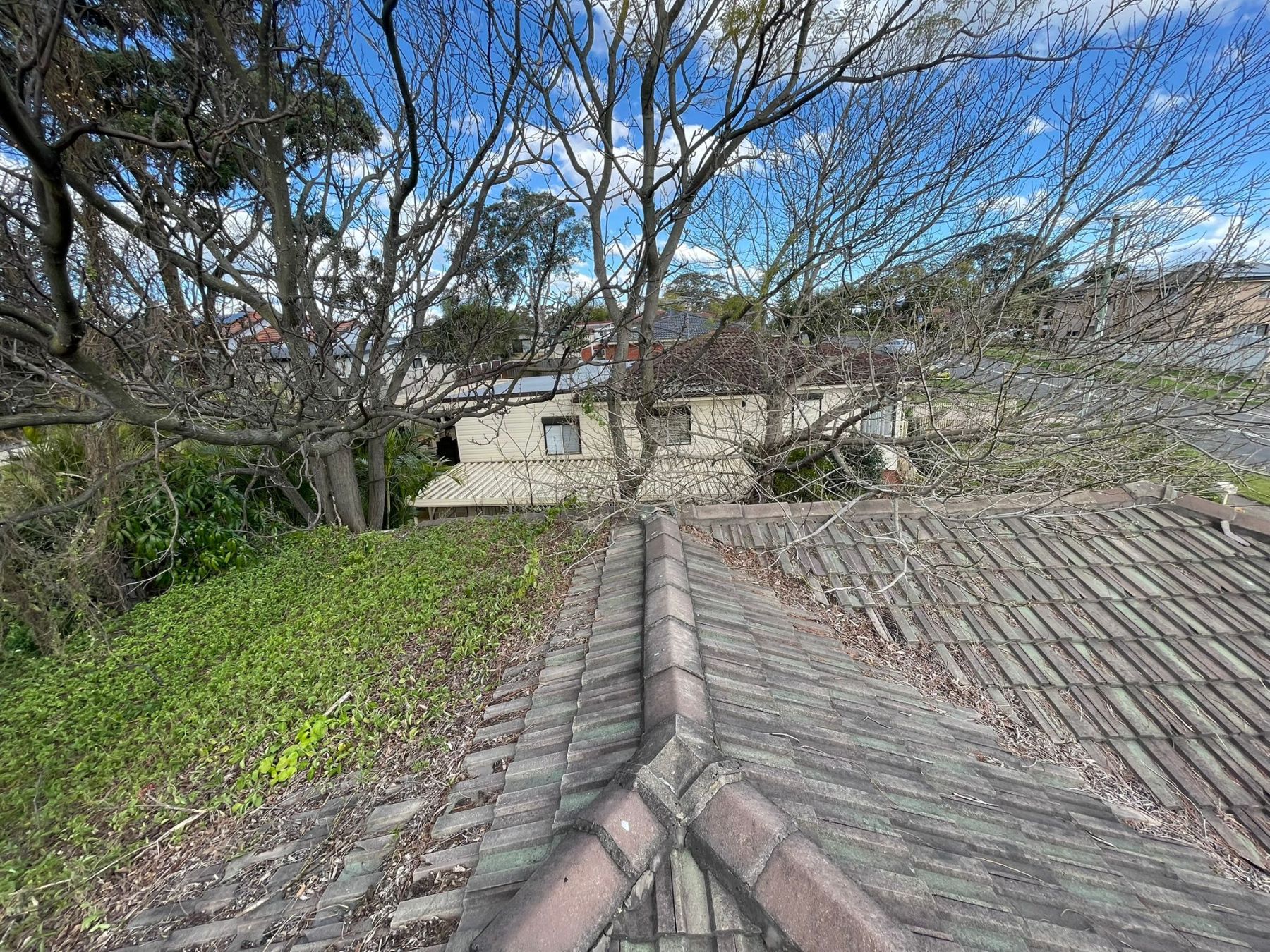 Roof restoration - before