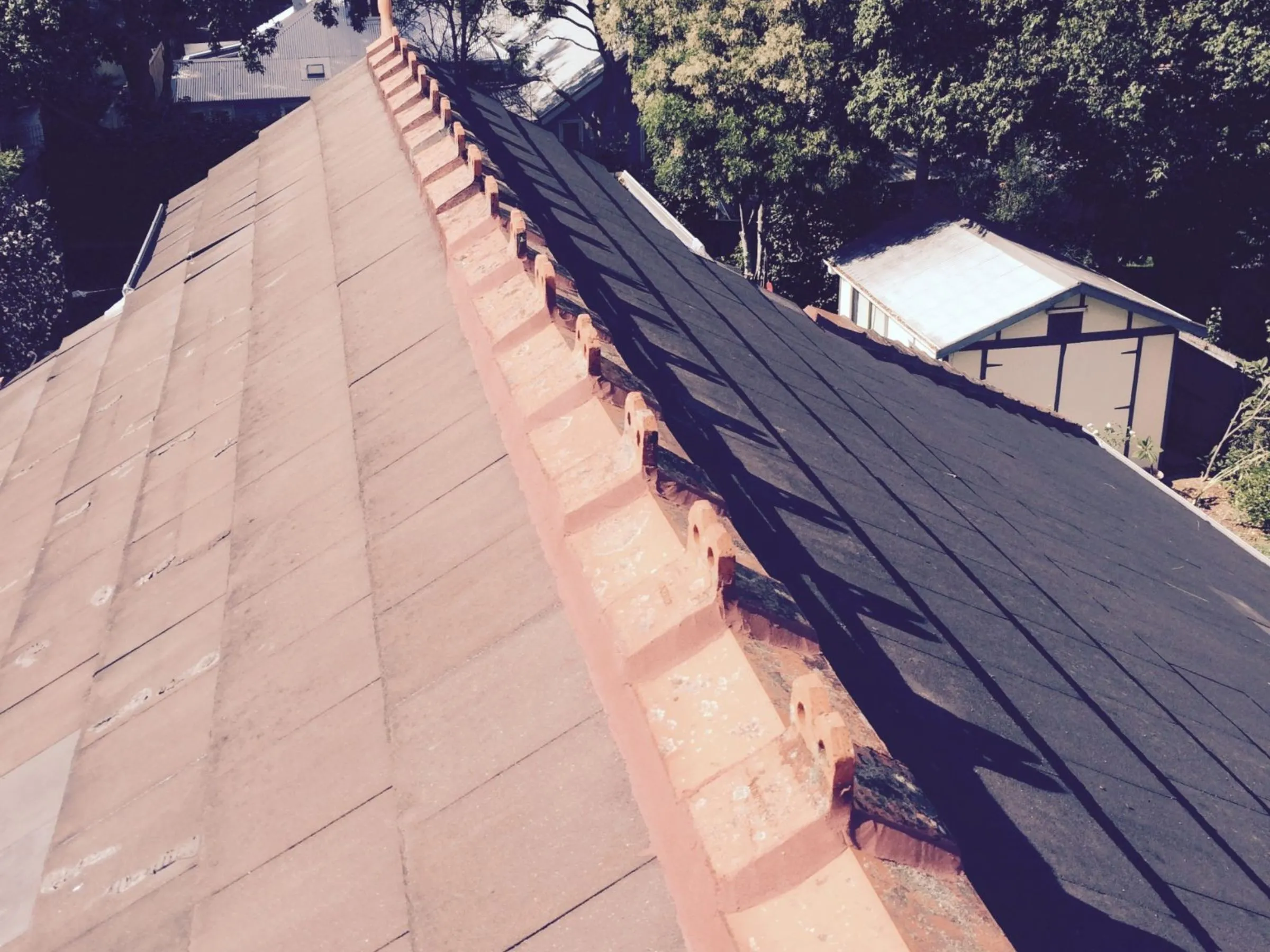 How to Prevent Roof Mold and Algae in Humid Conditions