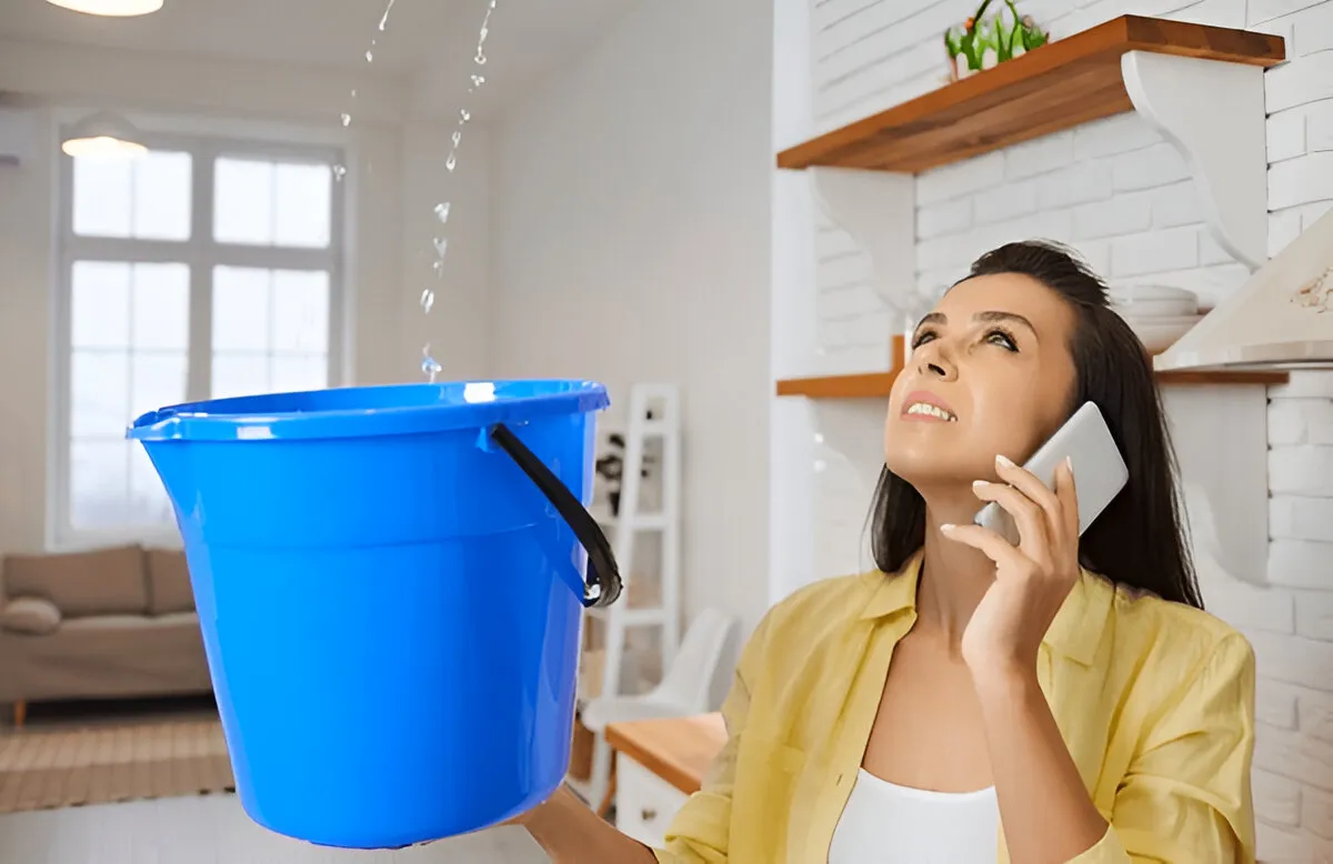Signs You Need Roof Leak Repair Sydney