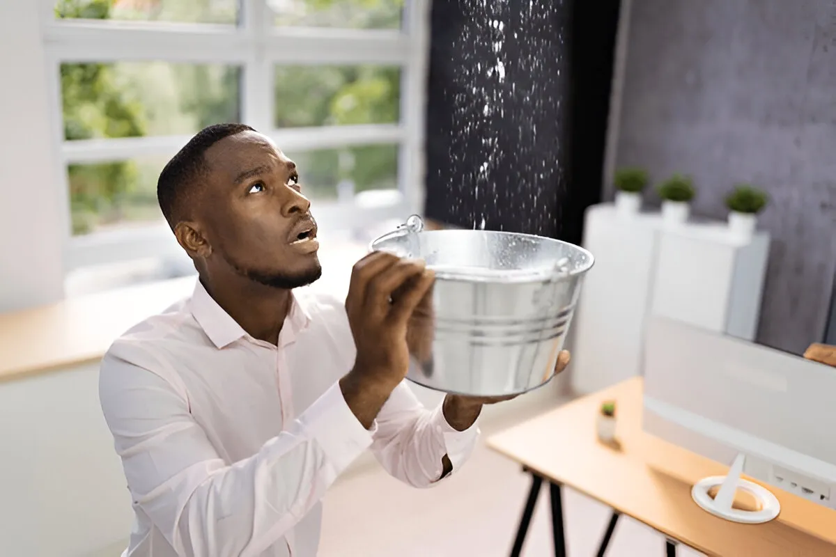 Why Roof Leak Repair Sydney Is an Investment