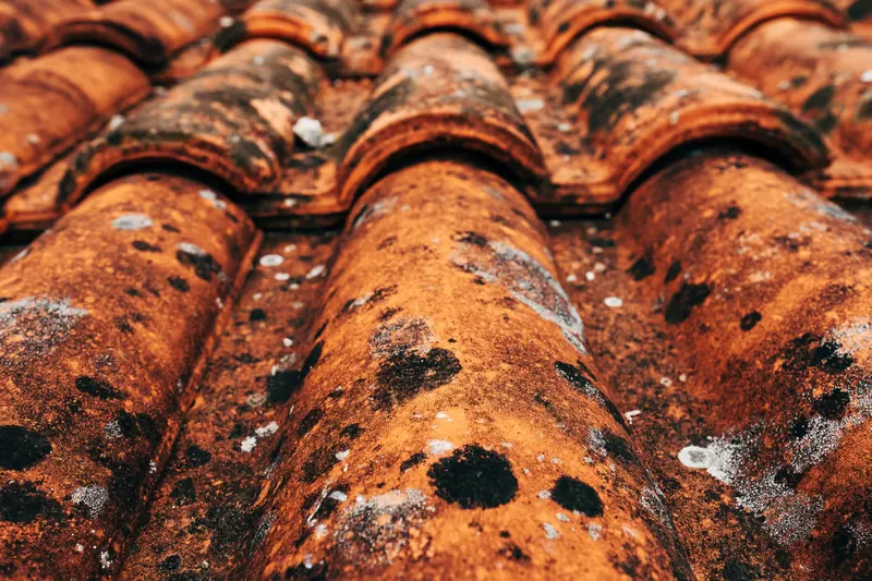 Common Problems Fixed During Tile Roof