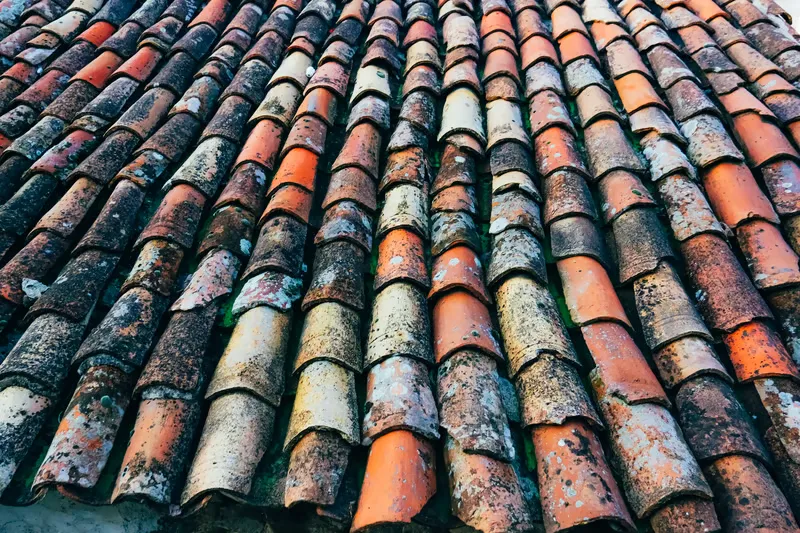 Signs You Need Tile Roof Restoration Sydney