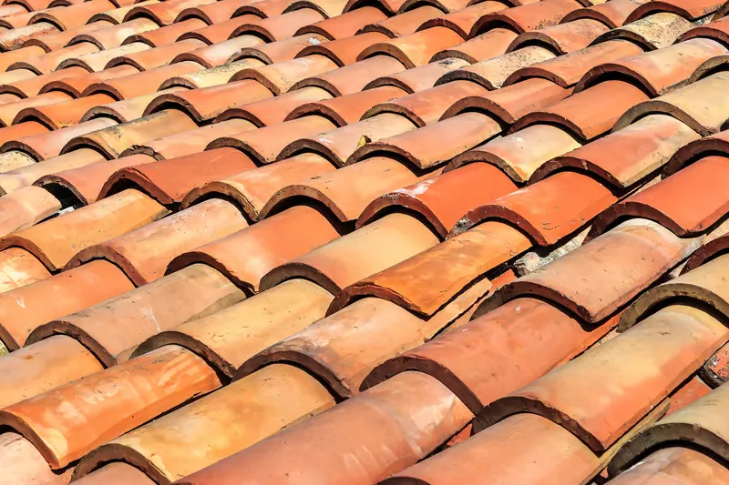 What Tile Roof Restoration Sydney Really Means