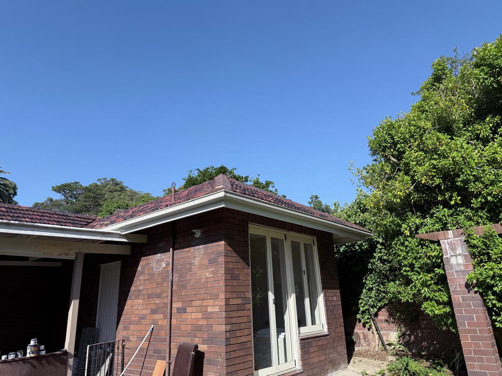 Why Proper Guttering is Essential for Sydney Homes