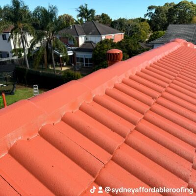 Roof Painting Sydney – Affordable Roof Care by Sydney Affordable Roofing Services