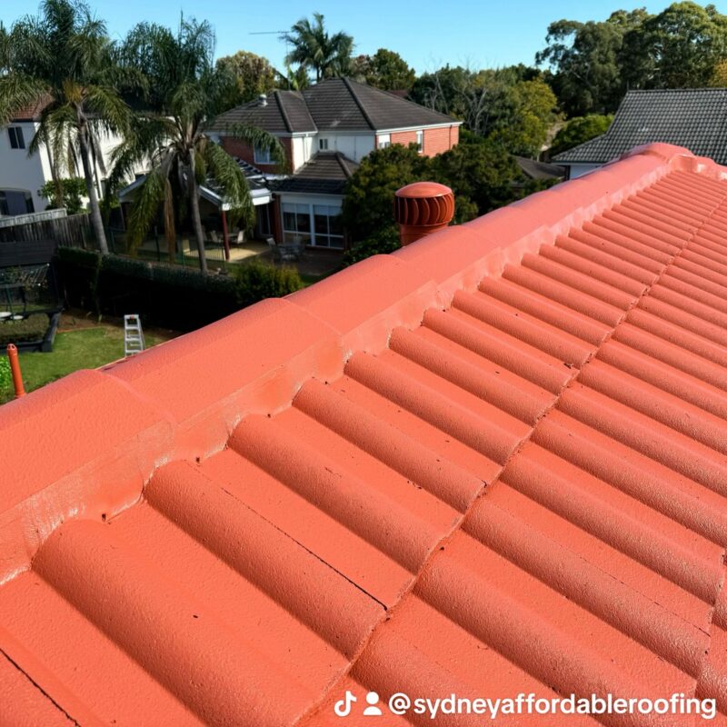 Roof Painting Sydney – Affordable Roof Care by Sydney Affordable Roofing Services