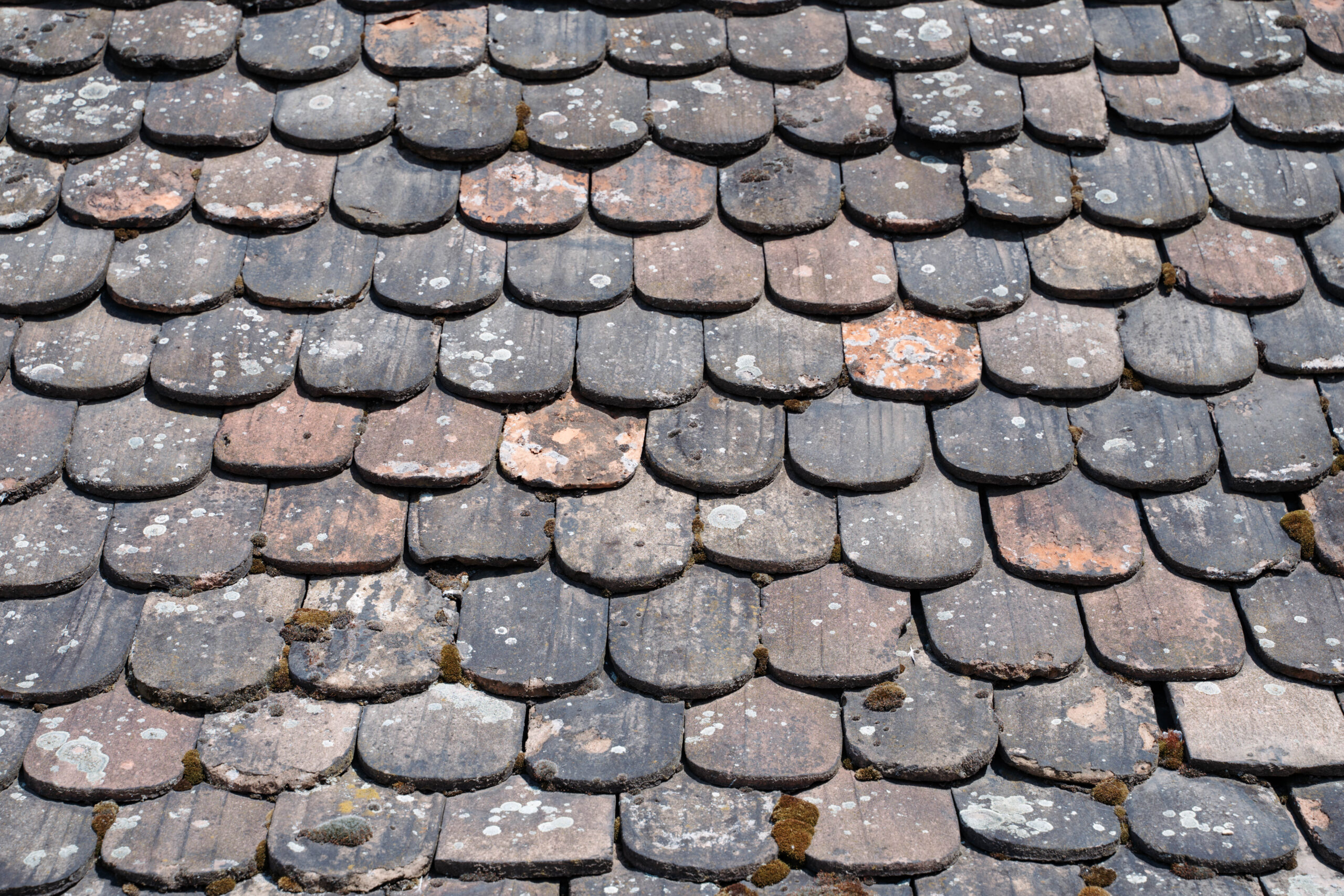 Slate Roof Repair in Sydney