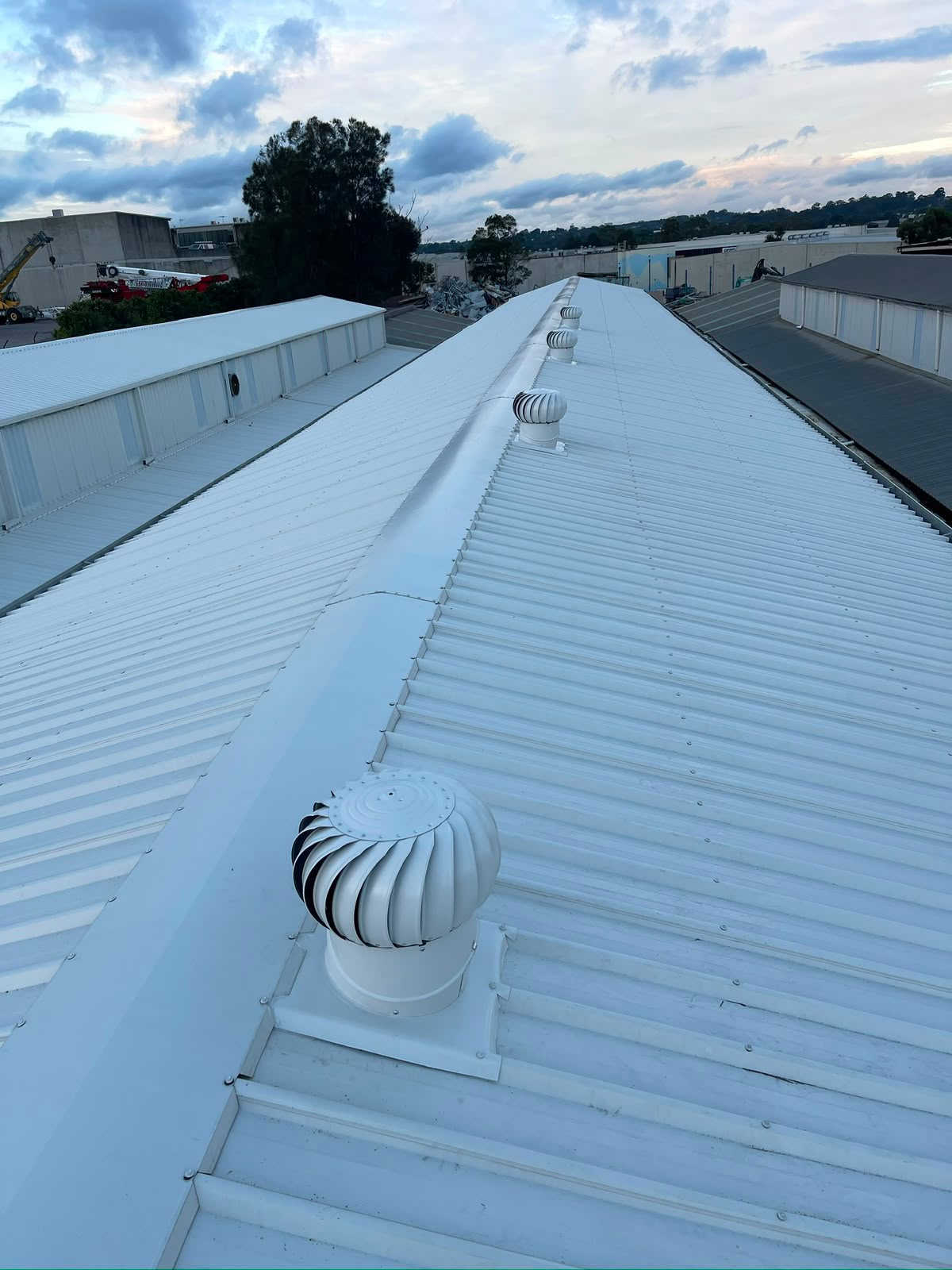 Why Roof Replacement Western Sydney is Needed for Sydney Homes